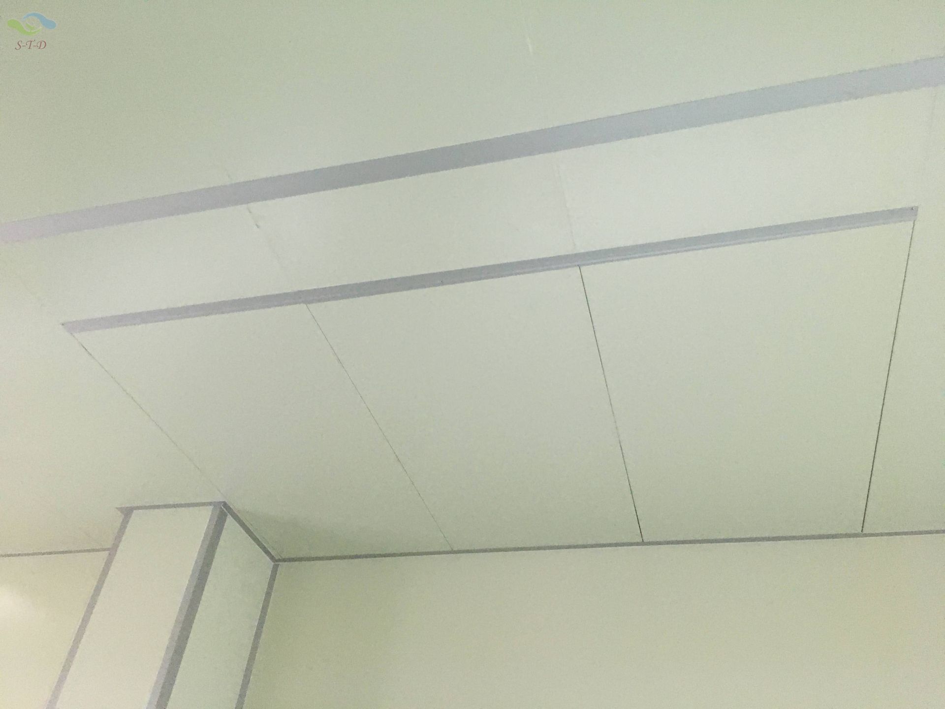 大園