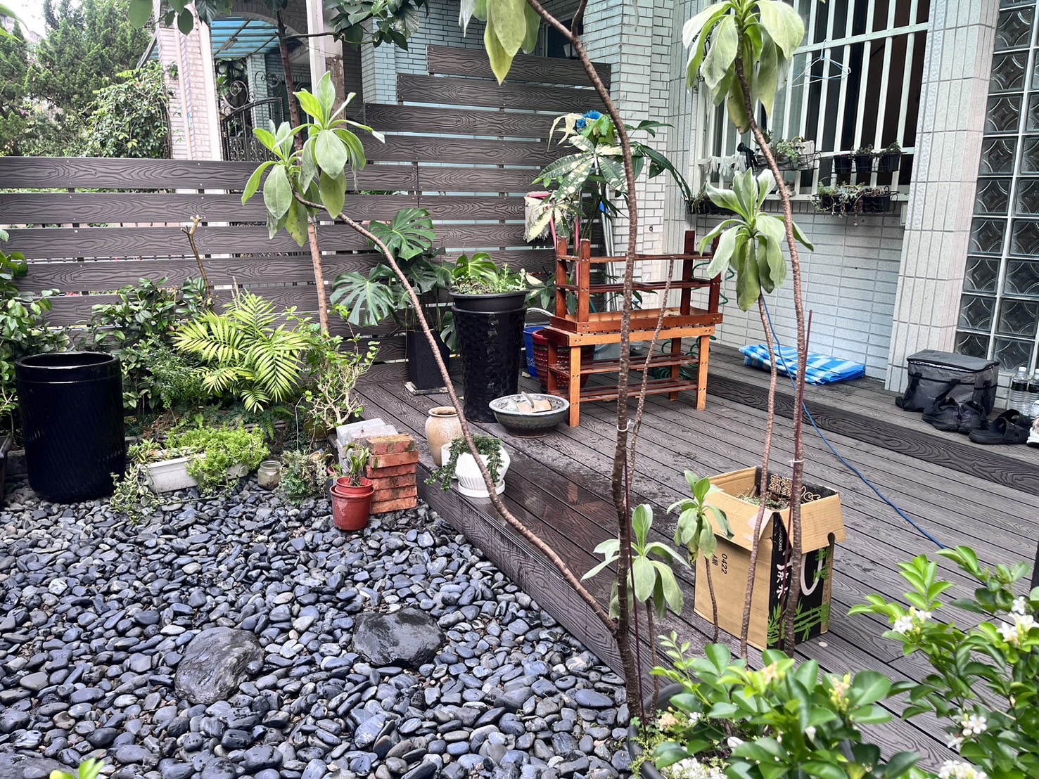 住宅庭院